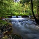 코덱스자전거 이미지