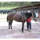 통산2목장 이미지