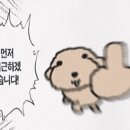 럭키7