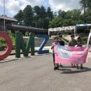 통일동산(4) 갈대광장 이미지