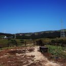 우람목장 이미지