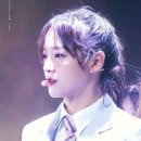 모두모두