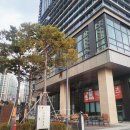 이비가짬뽕 다산테라타워점, 고기맵짬뽕(밥)/한우짜장/탕수육 후기