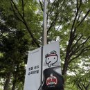 여의도 무한도전런 참가 후기 :: 무도키즈 드러눕다