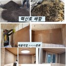 자연치유방 이미지