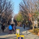 숲길 네이버블로그