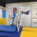 봉황태권도장 이미지