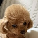 몽심살롱