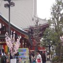 도쿄 6 - 센소지를 나와 스미다가와 강변 벚꽃을 보다! 이미지