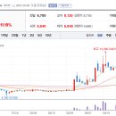 에이치티(HT)글로벌