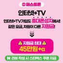 산호대로-19 이미지