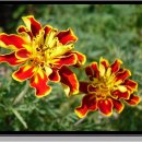 동산목장 이미지