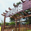 하랑숲아이들학원 | 강원도아이와가볼만한곳 속초이색카페 아쿠아숲 초6과 다녀온 후기