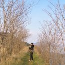 산과들과바다와함께 이미지