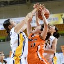 정아름 카카오 검색결과