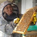 농부의 열매 이미지