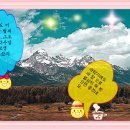 백합사 이미지
