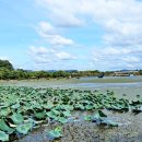 우로지 자연숲 황토길 이미지