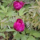 승준농장 이미지