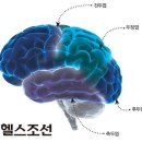 (주)헬스조선 이미지