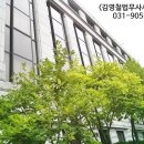 법무사김영철사무소 이미지