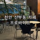 천안 신부동 힙한 분위기 카페 추천 프로바이드 후기