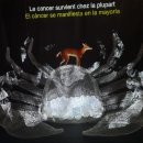 Le pari audacieux d'une exposition sur les cancers à la Cité des sciences e 이미지