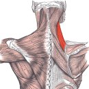 낙성대한의원 이미지