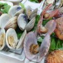 목포 활어회 플라자 이미지