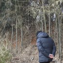 중앙대학교 교육대학원 이미지