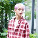 대현 이미지