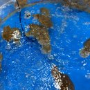 태안군 로컬푸드사업단 이미지