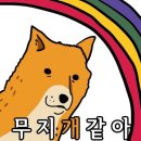 지지배 이미지