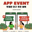 샐러디79 네이버블로그