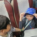 하단제일합기도 이미지