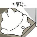 이선생 왕코다리 이미지