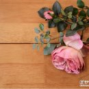 킹스톤 - 동구 동촌역사로3길 18 | 킹스톤