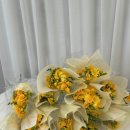 풍산꽃농원/안동꽃집/도청꽃집/경북도청꽃집/신도청꽃집/풍산꽃집