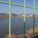 외동배수펌프장 이미지