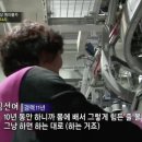 대왕카정비 네이버블로그