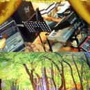 리메디칼 이미지