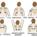 PT연구소 이미지
