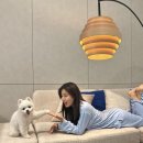 몽구 이미지