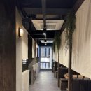 너구리 소굴 이미지