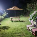 돌담하우스(민박) 이미지