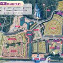 한라민박 | 2026 신안 임자도 섬 튤립축제 일정, 프로그램, 주차장까지 총정리