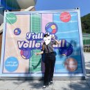 통영체육관 | < 2024 통영 도드람컵 프로배구 대회 > 직관 후기 및 꿀팁 공개 !