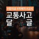 ▶교통사고 피해자 달글(치료, 합의금, 교통사고 이후 상황 등)◀ 임시 5차 (가해자 출입 금지, 교통사고 무물방 아님) 이미지