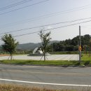 성주한우 Daum카페