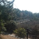 새천년공원길 이미지